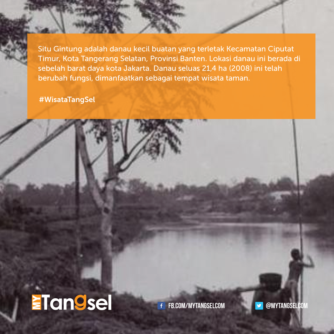 MyTangselcom's tweet photo. http://t.co/Z9UITDi56y