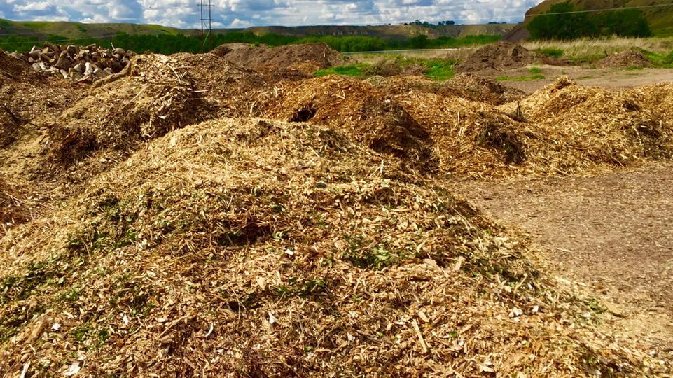 WAH_su's tweet photo. #free #mulch for #covering for @backtoedenfilm garden in #yql @angeladawn3698 #return2eden http://t.co/NezmuUM7HL