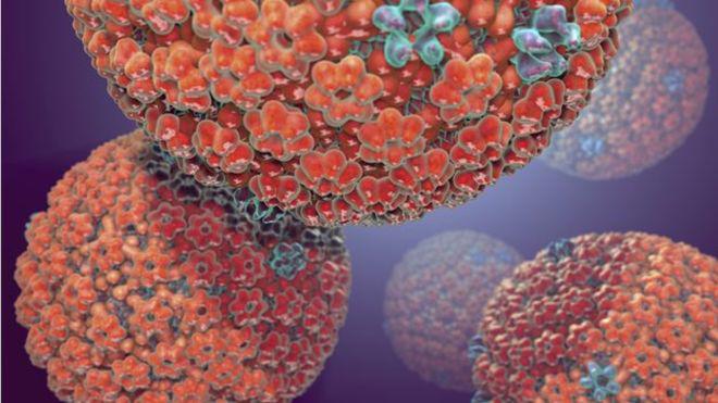 NeonSparksUK's tweet image. Test unravels history of infection bbc.co.uk/news/science-e… #dna #infection #bbcscience