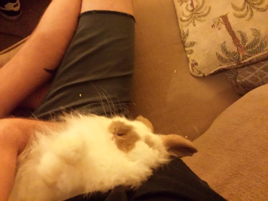 twmosh's tweet image. #satanicstyle