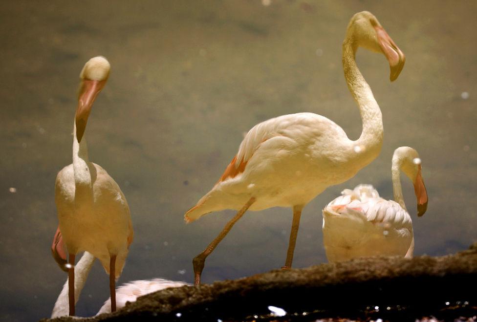 MarslCont's tweet image. 📷#BajoElLente: Las tomas más espectaculares del día mile.io/1FXJllk