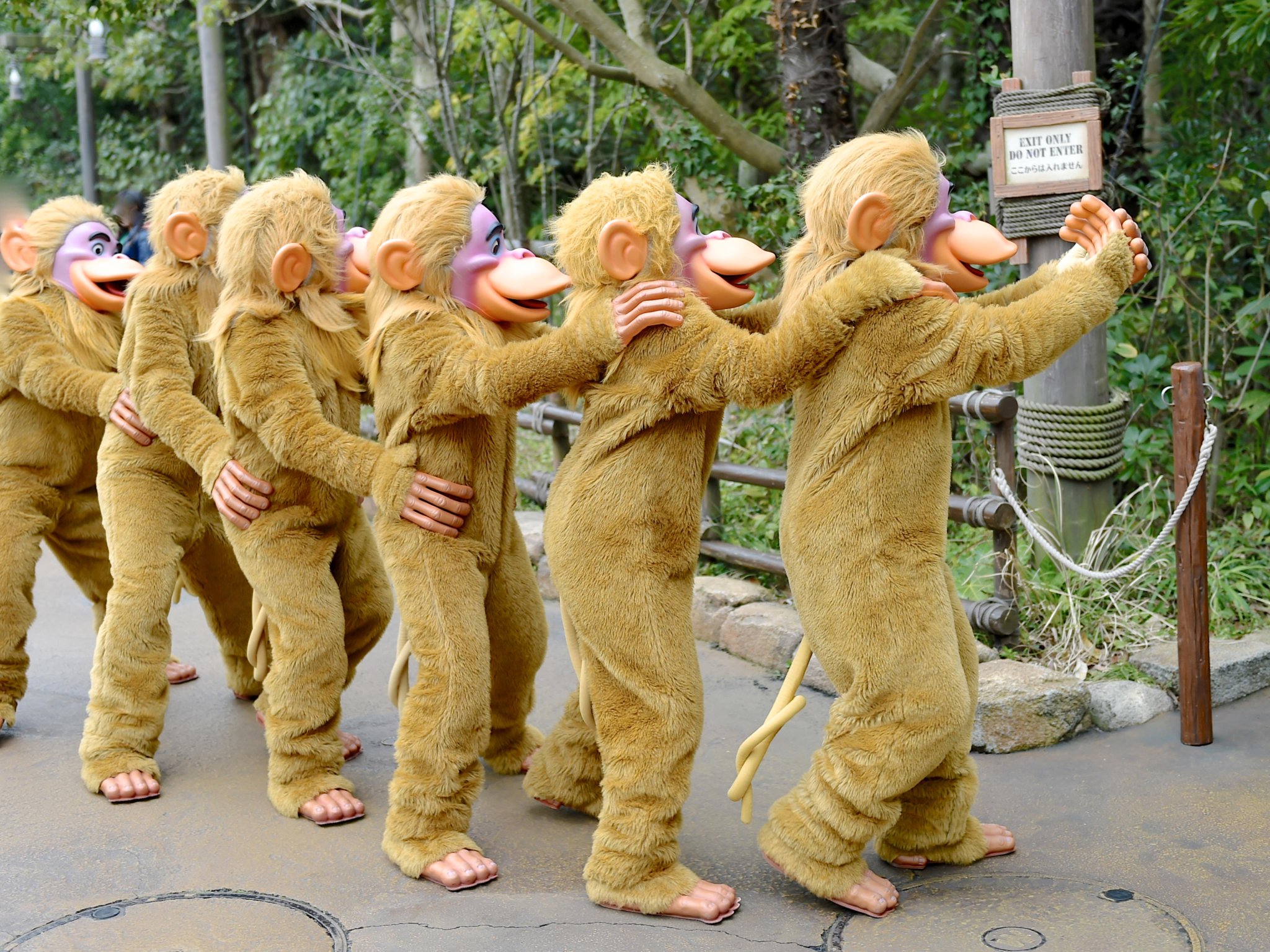 Twitter पर Mezzomikiのディズニーブログ 森に帰るモンキーたち Http T Co Bfuupozltz Http T Co 7aux9sjp3c