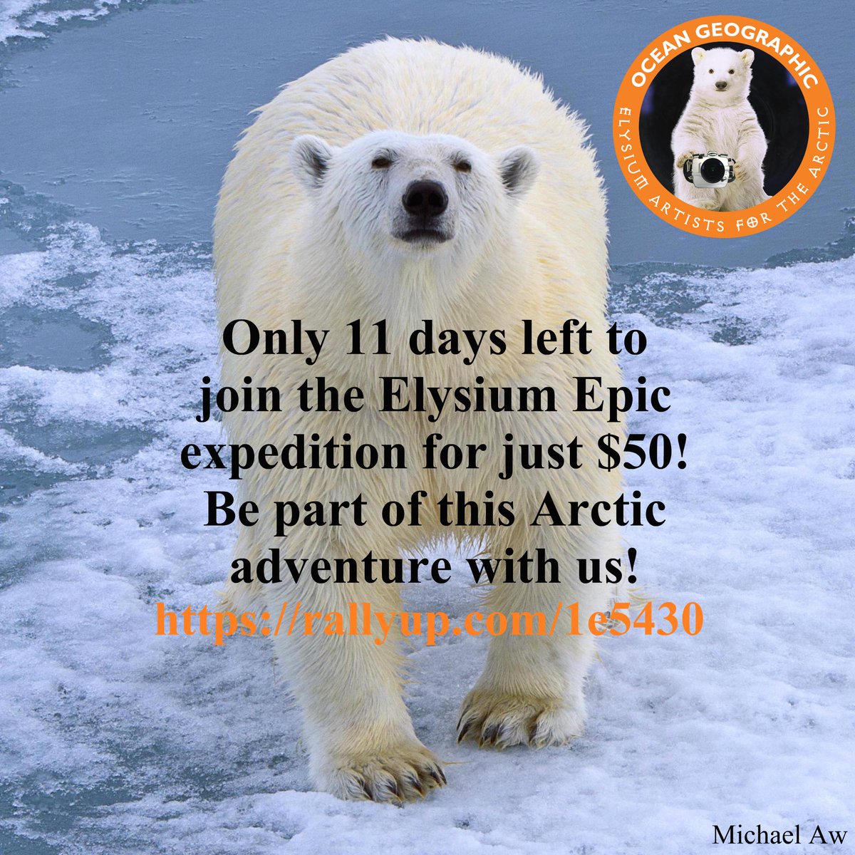 ElysiumEpic's tweet photo. Join us on a 3-week expedition to the #Arctic for just $50 with @SylviaEarle @DavidDoubilet https://t.co/xajQ7EgvX0 http://t.co/gi5ipICYbR