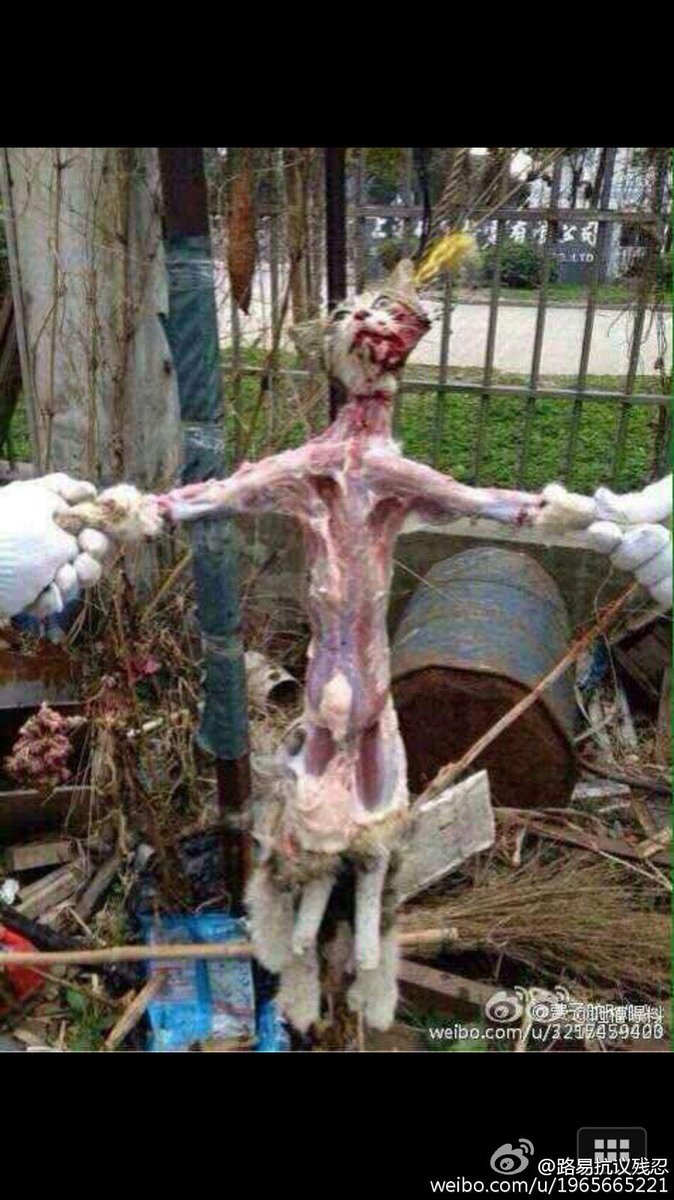 louky_anon's tweet image. .@BBCWorld Pls warn of dangers of eating tainted dog meat #EndYulinFestival bit.ly/1HRYin7