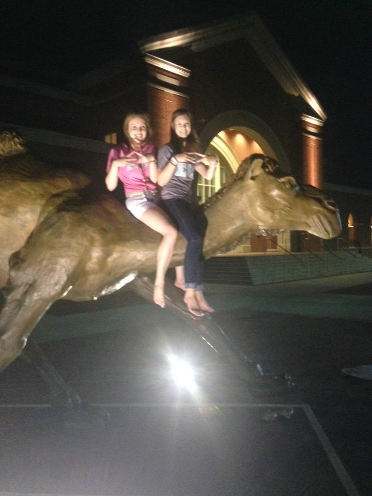 maggiep413's tweet image. Riding the camel like Egyptians @SAOConvention15 #saoconvention2015 #omicronchapter