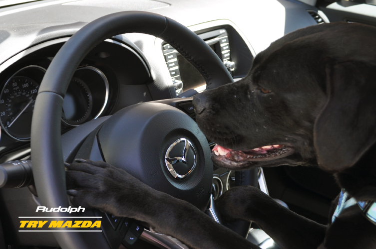 RudolphMazda's tweet photo. Keep both hands, or paws on the wheel and #TryMazda!

Try Mazda now at http://t.co/HwUjbEZ1jq

#HowDoYouMazda http://t.co/0cO06DN4rH
