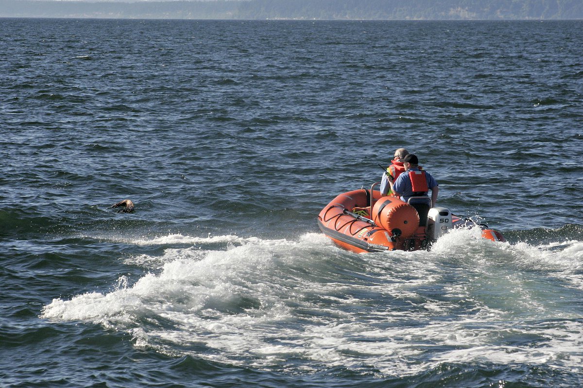 mukilteo beacon on twitter search and rescue off mukilteo coast