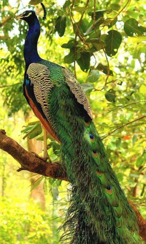 <a href="/MarionSpekker/">Marion Spekker</a> @_LoveofMars <a href="/cinla1964/">Ciupo</a> @patyie66 <a href="/AlinaDal_F/">ADF</a> @klgeorge11 <a href="/pennycoho/">PennyLHowe</a> @GranataRapid Good morning all