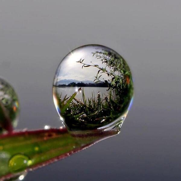 servgenIG's tweet photo. Hoy 5 de junio se celebra el Día Mundial del Medio Ambiente.  Institut Guttmann http://t.co/aIqBwii333