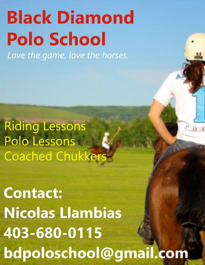 The Black Diamond Polo School blackdiamondpoloclub.wordpress.com/2015/06/05/the…