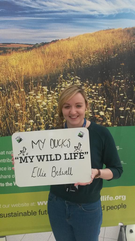 WiltsWildlife's tweet photo. @elliebedderrss supporting @WiltsWildlife @NBSEmployees #NBSGreenPRIDE well done http://t.co/F2wt2gIskR