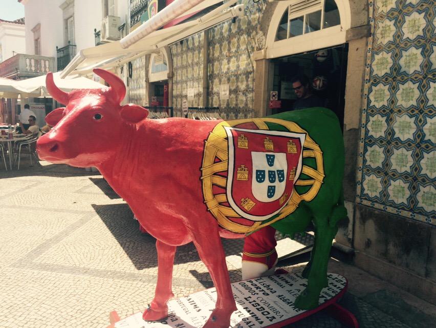 hkranstauber's tweet photo. Mooh! Loslopende koe #portugal Succes en plezier!!! @YFM_NL @YFM_Gr met eerste #FFFoT #melk @joszismeets @Dionnevz http://t.co/6vynGLV7ij