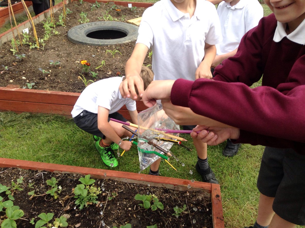 Fiona Jaggs tweet media