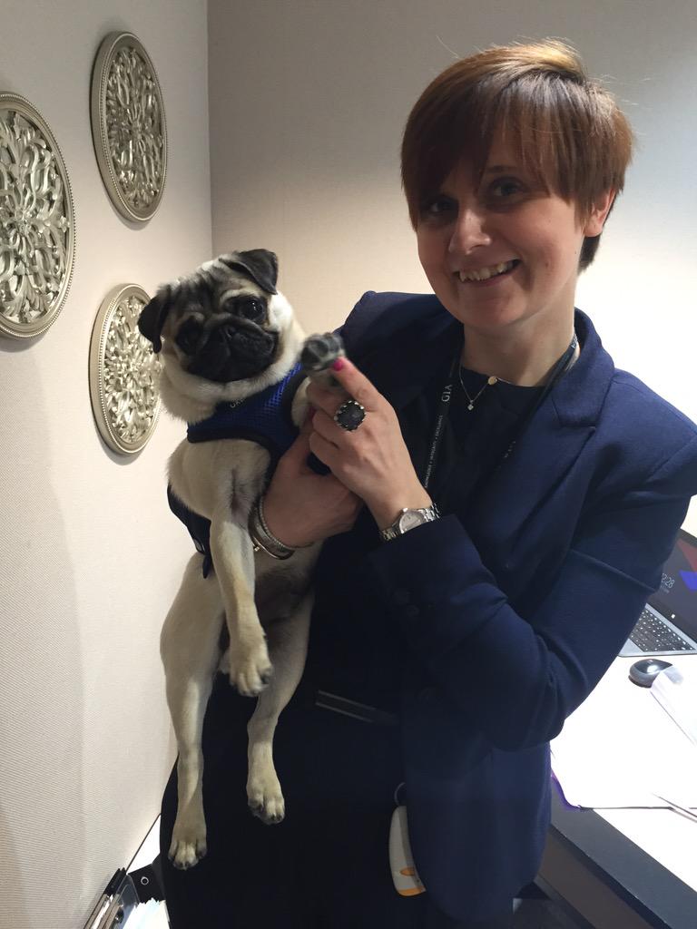 JewellerLanes's tweet image. Our new office mascot!  Meet Boris...@vardy7 @Bexxxnic @fairy_lost