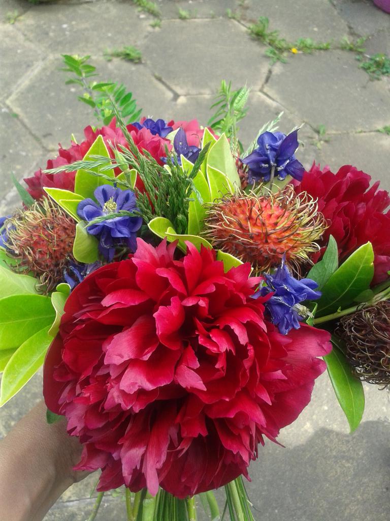Gayanigoldust's tweet photo. Have a blessed World environment day! @LynnParsonsUK @PaulaPryke all from garden except rambutan#Oganic # ecological http://t.co/yoyGfjDLVl