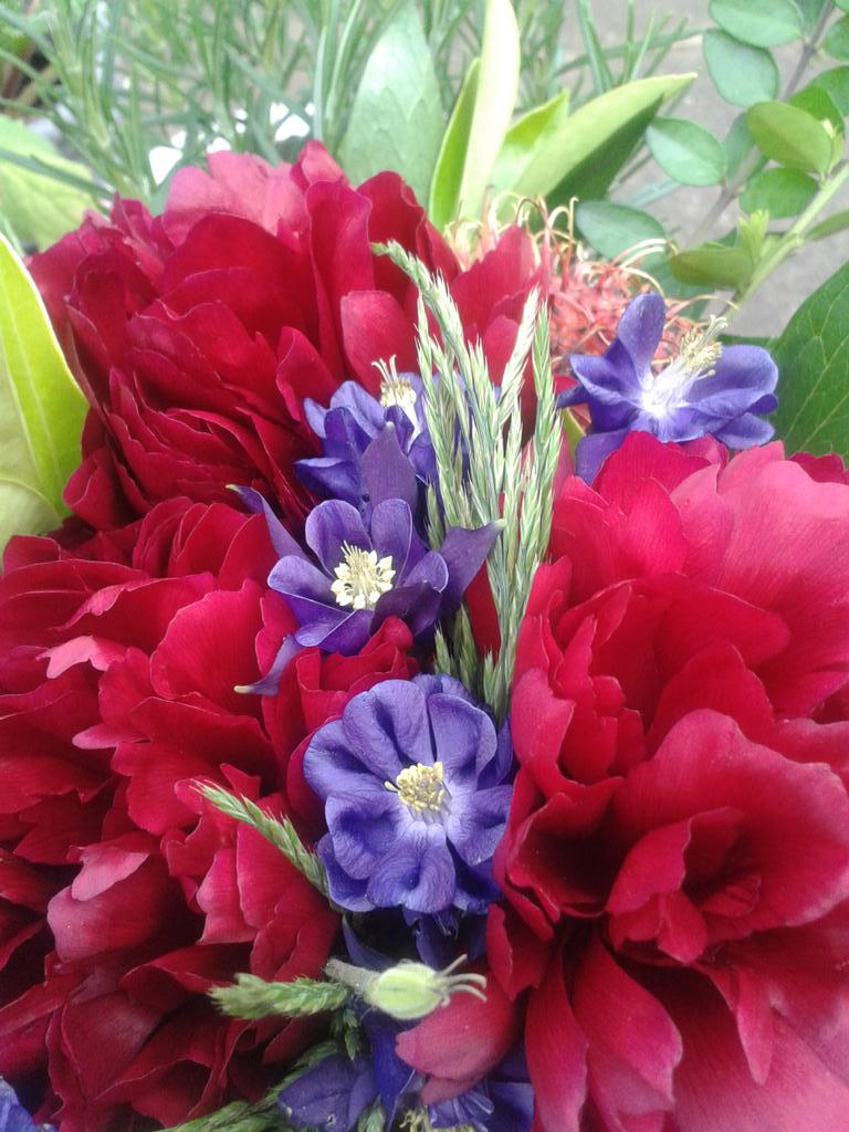 Gayanigoldust's tweet photo. Have a blessed World environment day! @LynnParsonsUK @PaulaPryke all from garden except rambutan#Oganic # ecological http://t.co/yoyGfjDLVl
