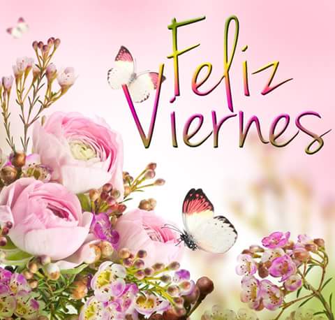 Vicky . tweet media