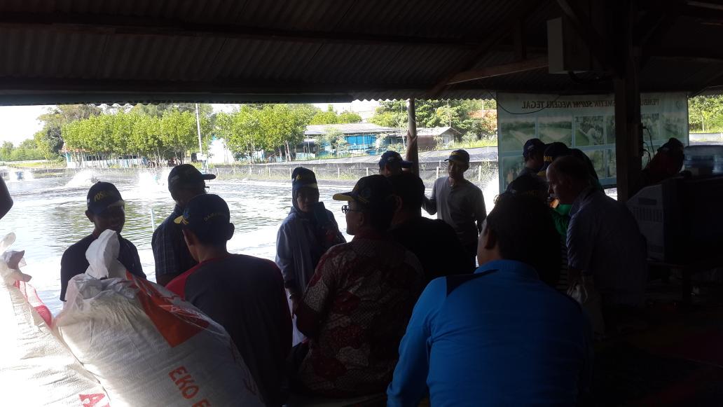 muchlisin moch tweet media