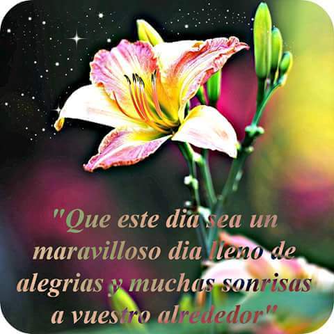 Vicky . tweet media