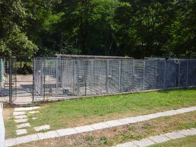 luccaprogettoEU's tweet photo. #progettobiomass pronto l'impianto a #biomasse per #canile di #mulazzo #lunigiana http://t.co/8GXQSaGcwK