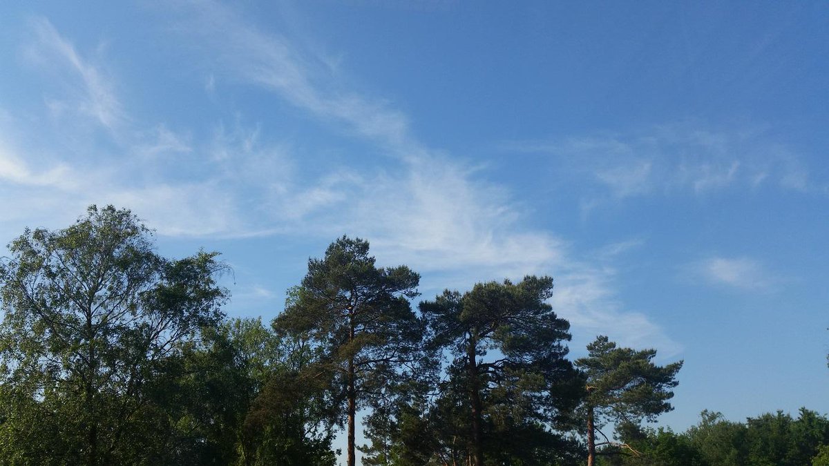 Vandaag worden temperaturen tot 33 graden voorspeld. Tien tips voor het lopen bij warmte ow.ly/NU93O