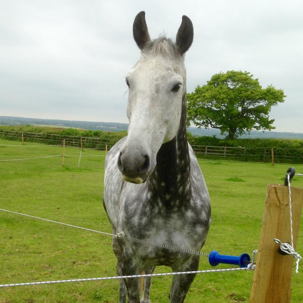 Happy birthday to my gorgeous Mr T!!       