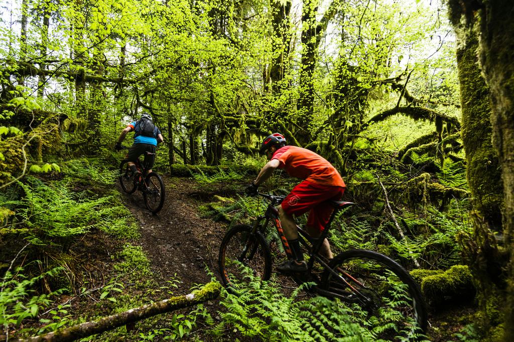 TrentinoWild's tweet photo. Hai voluto la bicicletta? Adesso pedala! Giornata favolosa in #Valdisole per un giro in #MTB ! @AptValdiSole #TNW http://t.co/ZSscJYHaRy