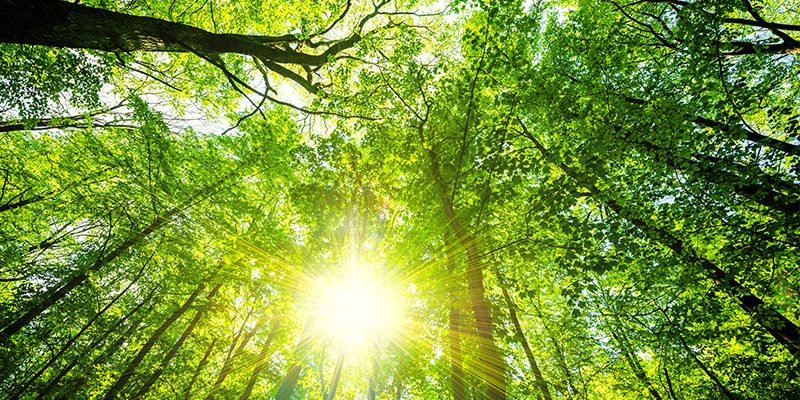 Yeryüzündeki en büyük zenginlik doğanın kendisidir... Dünya Çevre Günü kutlu olsun! #gezgindamaklar #dünyaçevregünü