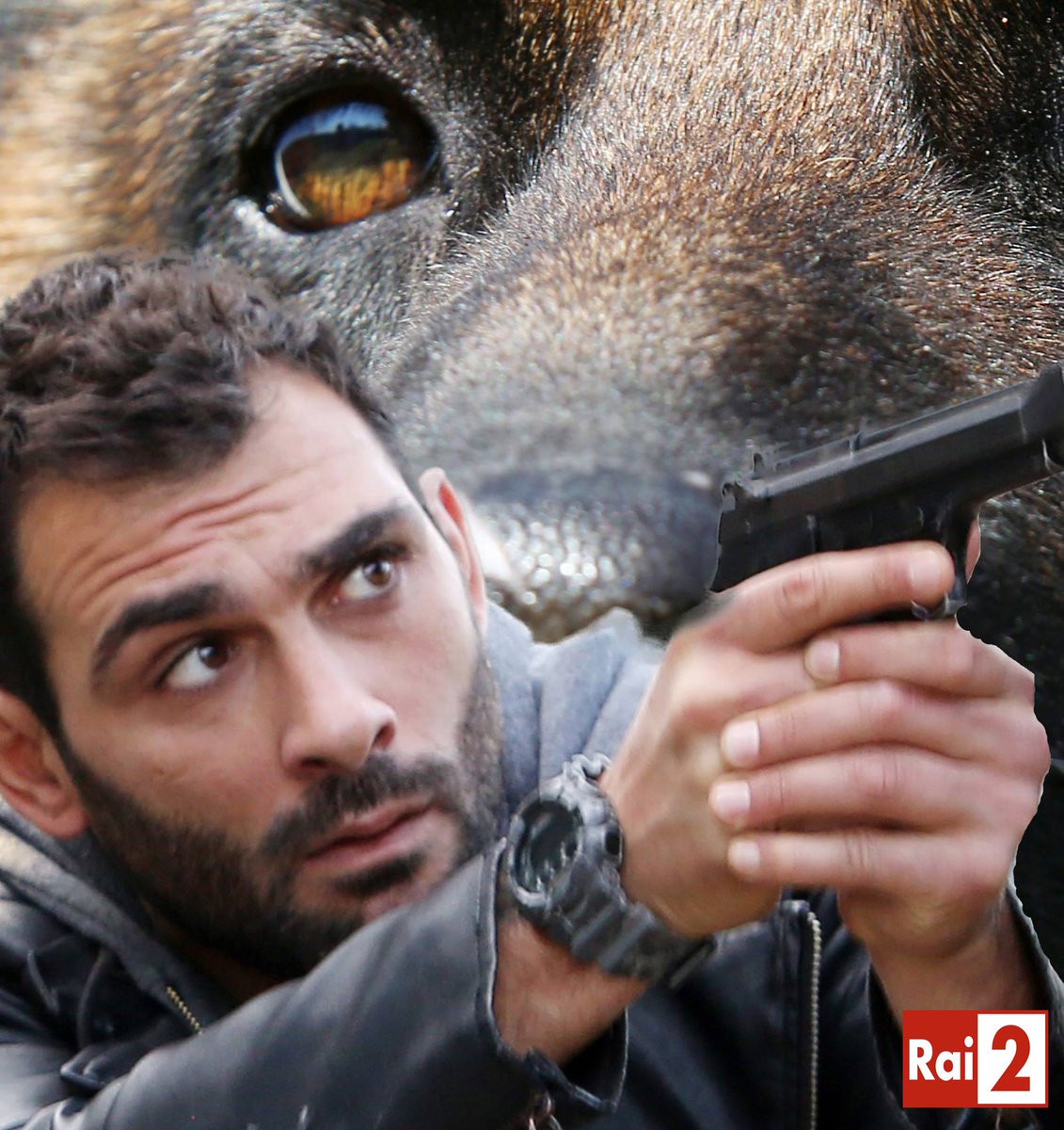 RaiDue's tweet photo. Ci siamo @Francescoarca1 e #Aki Rex tornano stasera! @RexLaSerie #Rex8 @domefortunato @DogsLifeProd @FictioneFilm http://t.co/ImikFuWO3A