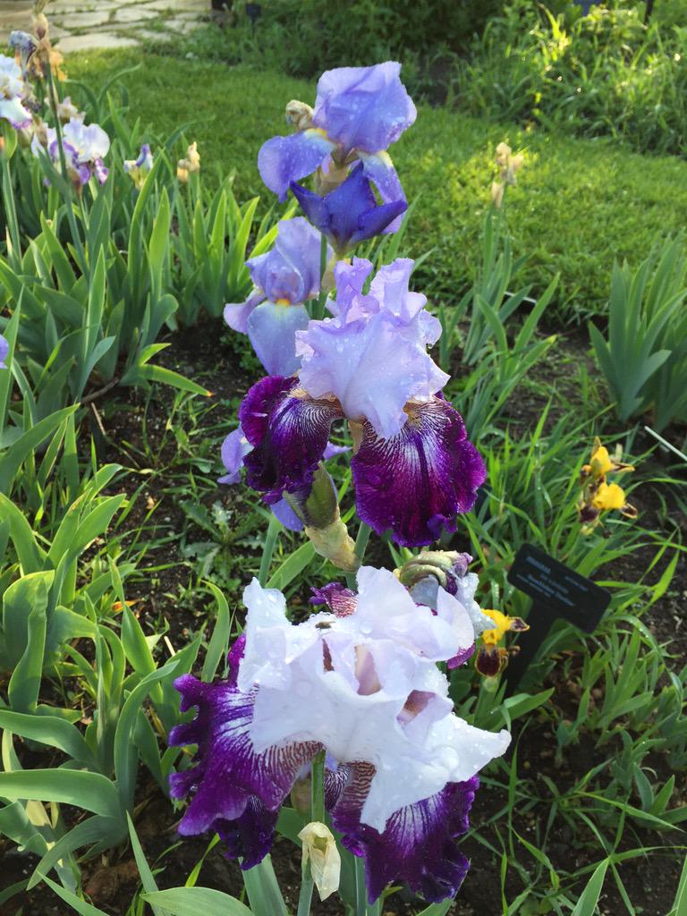 vidabarker's tweet photo. A fresh start to a new day filled with disovery #advlearn2015 #myadvlearn http://t.co/Rz2fWd4iwz