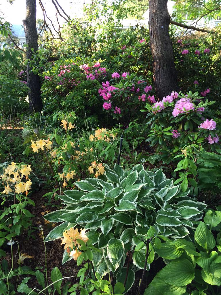 vidabarker's tweet photo. A fresh start to a new day filled with disovery #advlearn2015 #myadvlearn http://t.co/Rz2fWd4iwz