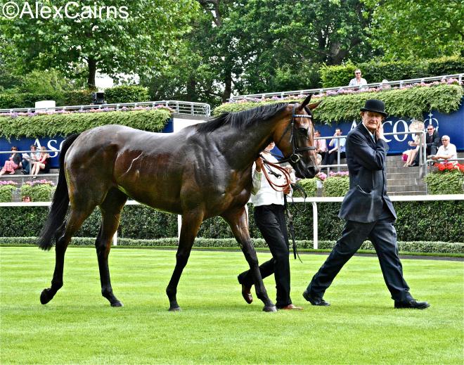 The Winning Post tweet media