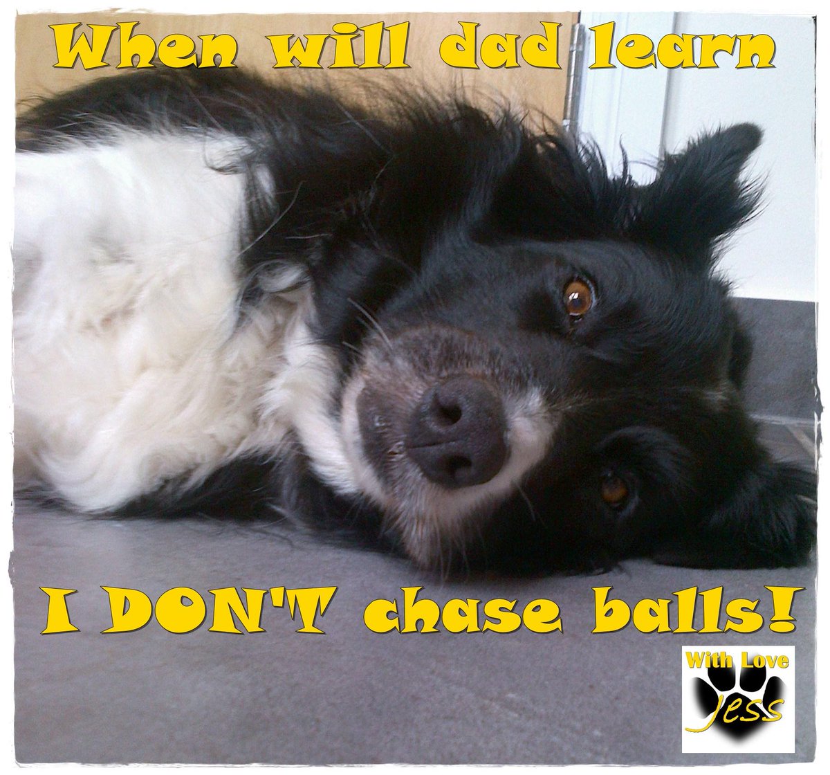 TonyGWriter's tweet image. @mybuddysa 
Thanks for following the old man - I'm Jess and I'm not as active as you!
wp.me/p5TMu1-6G