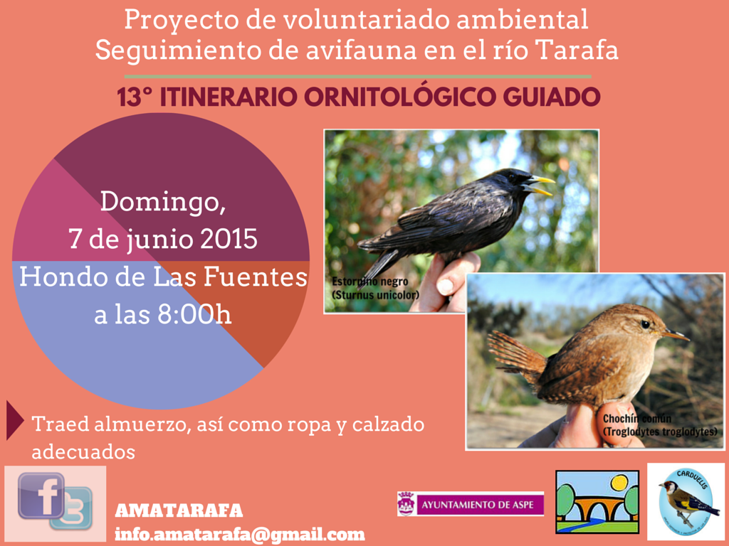 amatarafa tweet picture