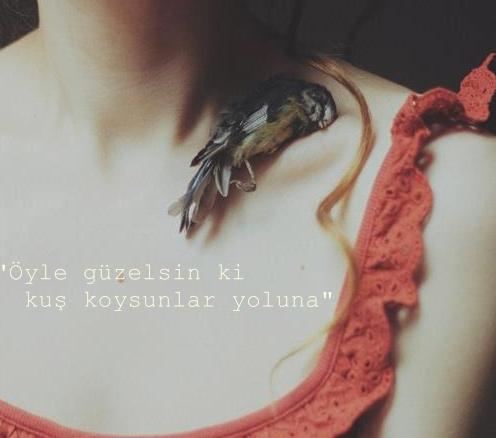 şiirsel (@siirsell2) on Twitter photo 