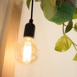 Arquivistes estudi tweet media