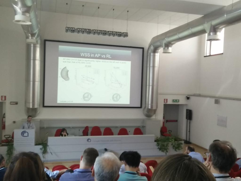 CompMechPV's tweet image. #FSI #FEA #CFD applied to the study of valvular congenital pathologies #esbita2015