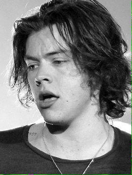 stylesasjagger tweet picture