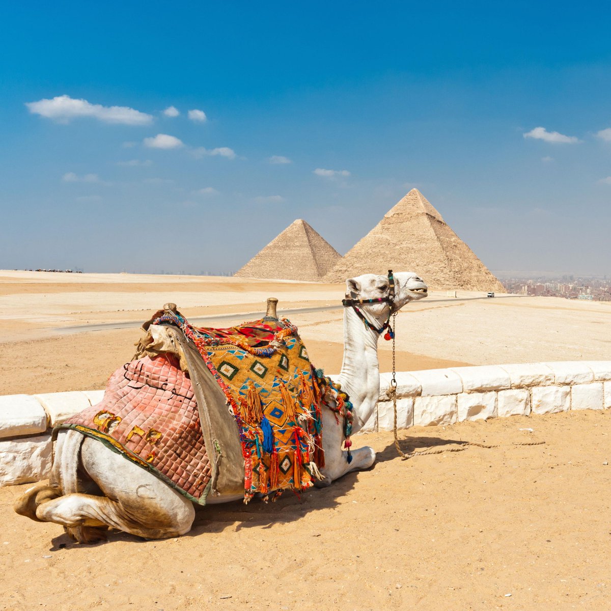 TopdeckTravel's tweet image. #TravelFact: The Great Pyramid was the world's largest structure for nearly 4,500 years.