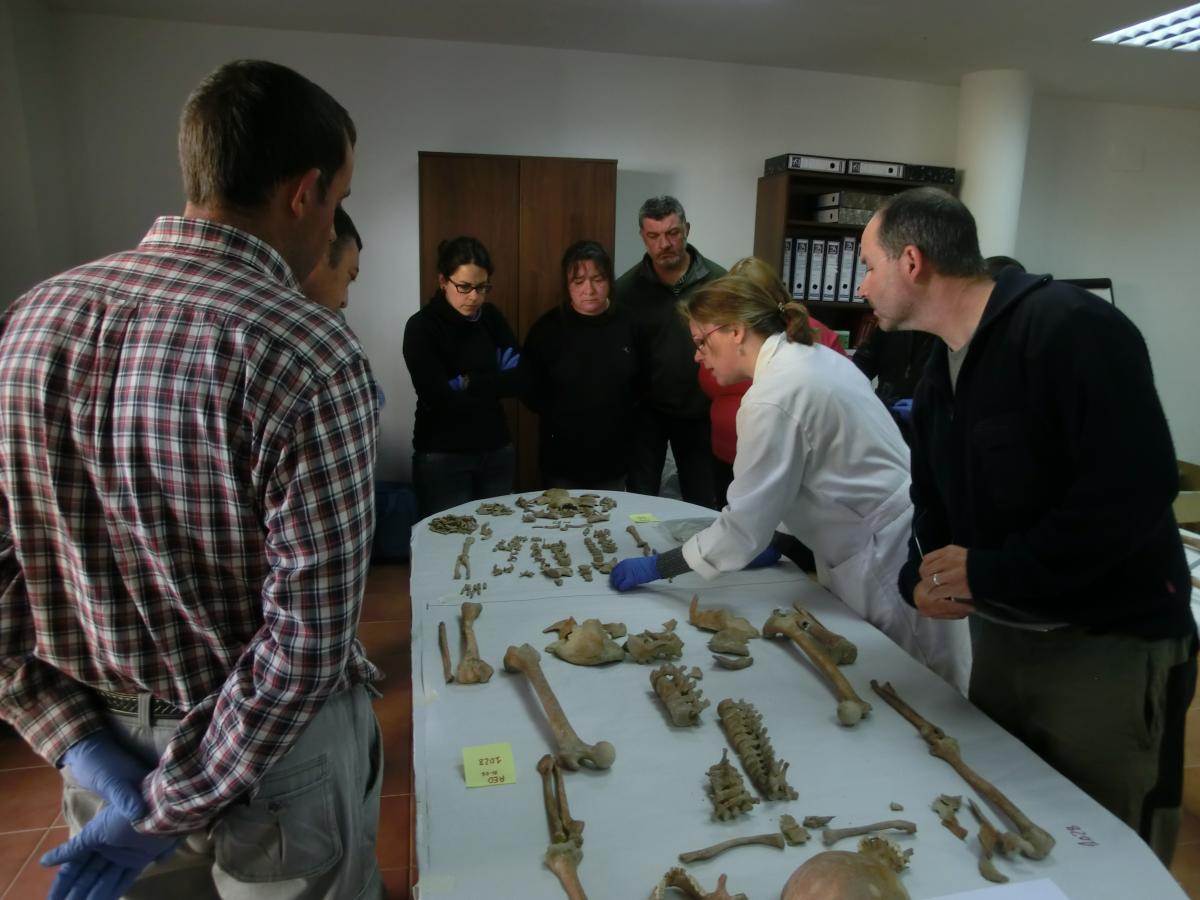 Els alumnes del taller d'Ocupació dels Ports es formen en paleopatologia +i: elsports.es