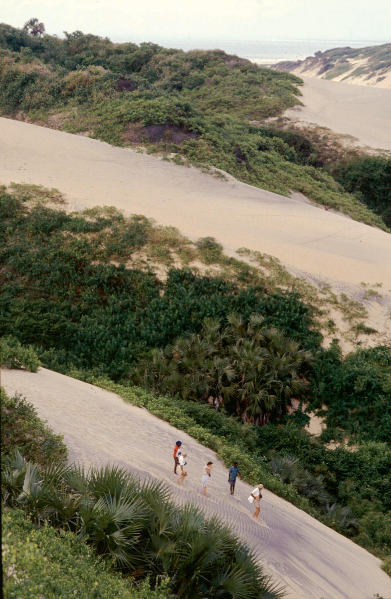 NewAfricanTerri's tweet photo. Sand dunes are just the most awesome fun! #DeltaDunes #WhyILoveKenya #Beach #FunInTheSun http://t.co/mrvpIzt5OF