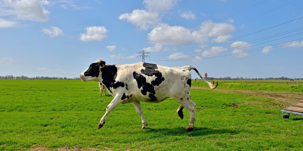 4positiviteit's tweet photo. Buiten je hokjes is het veel fijner leven! http://t.co/6ROTZj28Vj