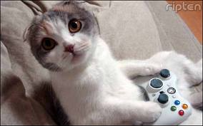 JVCom's tweet photo. "J'te fais un frag et j'te la rends tkt" http://t.co/WaUlFtBo9m