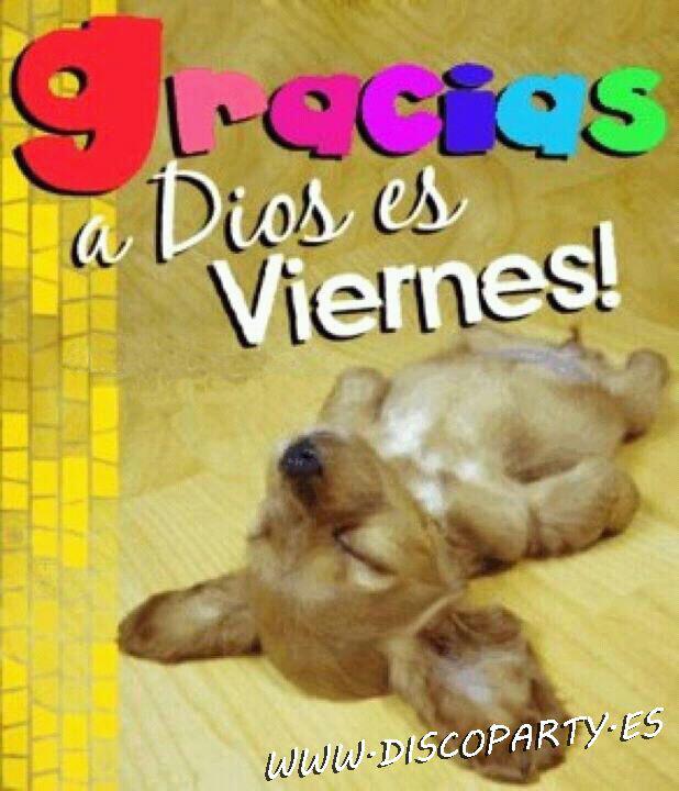 Nos vemos esta noche! A partir de las 00,30 h 🎉🎊🎉🎊