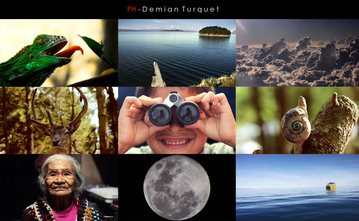 DemianTurquet's tweet photo. #DiaMundialdelMedioAmbiente #HoyEsElDia http://t.co/6yXXHeluUV