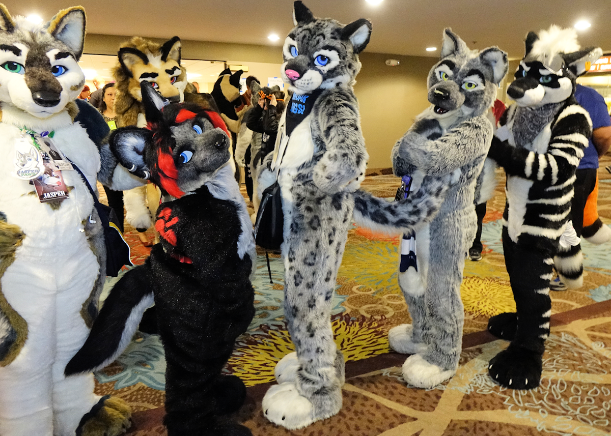 It's a #FursuitFriday tail parade! <a href="/Novemurr/">November</a> @ReggieSouthpaw <a href="/KuhoriWolf/">🌻Kuhori Wolf🐾</a> @Jasper_paws #BLFC2015 Pic by <a href="/LostWolf321/">LostWolf ❤️🐶 💣</a>