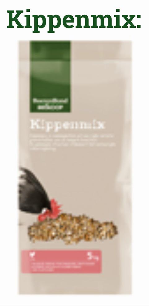 WelkoopRaalte's tweet photo. Bij Welkoop Raalte voelt ie zich wel heel erg thuis! @HarryDeHaene http://t.co/nfpcGzWys8 #kippen #haenties #SH15 http://t.co/Ed9g4IV58Y