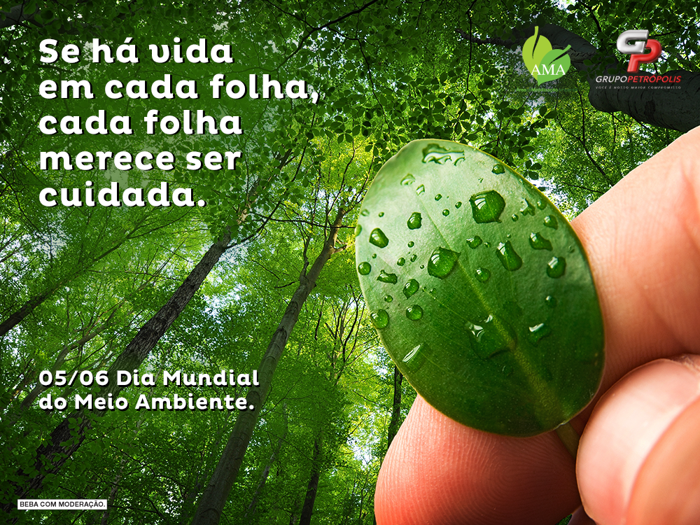 Grupo Petrópolis tweet media
