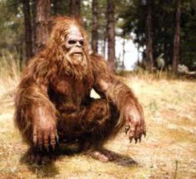 Sasquatch wants you to go #geocaching in southern Oregon. 
oregonlive.com/travel/index.s…