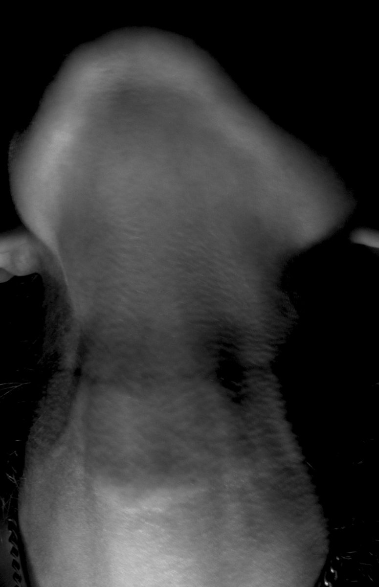 Here is today's photo. #surrealphoto #ManRaytribute #weird